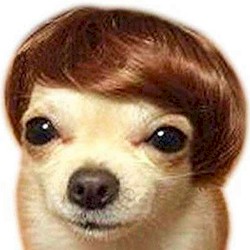 sometimes i wonder if im wasting my time when i make songs like this