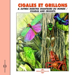 Cigales et grillons / Cicadas and Crickets