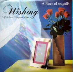 Wishing (If I Had a Photograph of You)