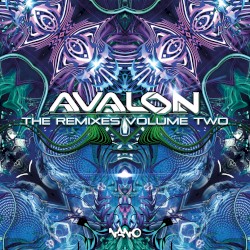 The Remixes Volume Two