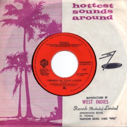 I Wanna Be Your Lover