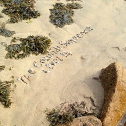 The Colundi Sequence Level 14