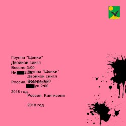 Двойной сингл