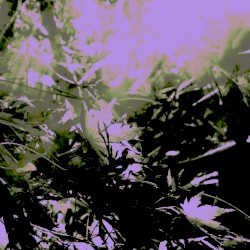 Electric Storm Scene