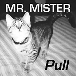 Pull