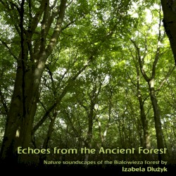Echoes From the Ancient Forest