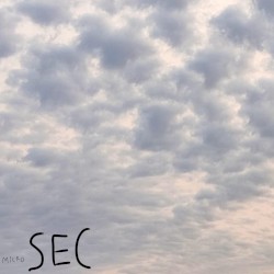 microSEC