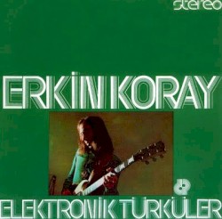 Elektronik Türküler