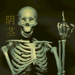 (reborn from the ashes) - 从灰烬中重生