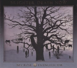 Necrose Evangelicum