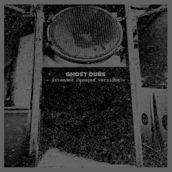 Extended Damaged Versions