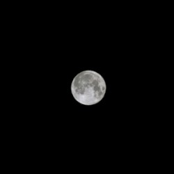 Moon Phantoms