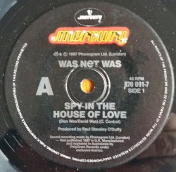 Spy in the House of Love