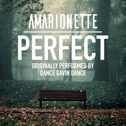 Perfect (Dance Gavin Dance Cover)