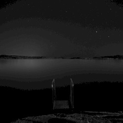 Wolven (A Modern Interpretation)