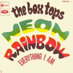 Neon Rainbow / Everything I Am