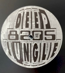 Message From Jah / Check This Out