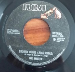 Broken Wings