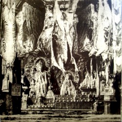 Physicalities of the Sensibilites of Ingrediential Strairways