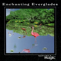 Enchanting Everglades