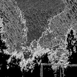 Oh Yeah, That One Time That Guy Raped Me and Then Followed Me to Work