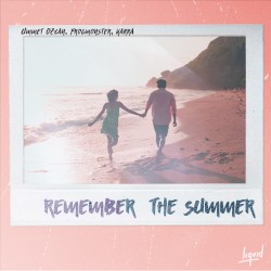 Remember the Summer (Acoustic)