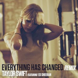 Everything Has Changed (remix)