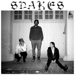 Snakes