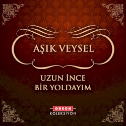 Uzun İnce Bir Yoldayım