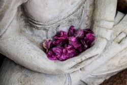 The Zen of Drone: Simply Beautiful Drone Poems, Vol. 2