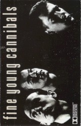 Fine Young Cannibals
