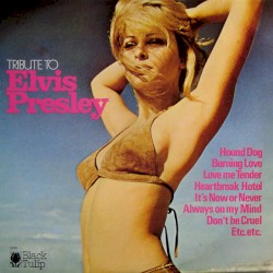 Tribute to Elvis Presley