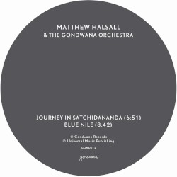 Journey in Satchidananda / Blue Nile