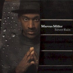 Silver Rain
