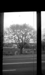 The Practice of Learning From Practice