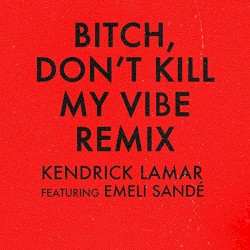 Bitch, Don’t Kill My Vibe (remix)