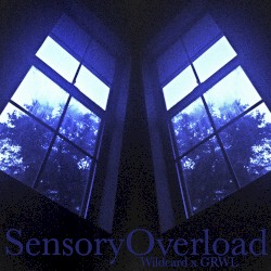 SensoryOverload