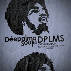 Never (Crazibiza, Muzzaik Remixes)