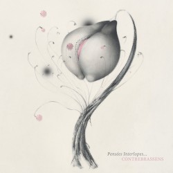 Pensées interlopes…