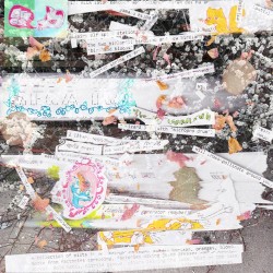 Moth Elf Ecology (cont.)