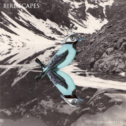 Birdscapes EP