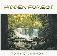Hidden Forest