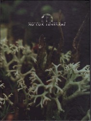 Skywards the Infinity