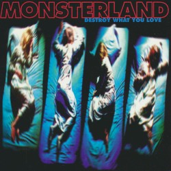 Destroy What You Love