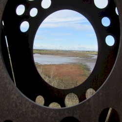 oo⚮⧞⚯⊶ꩧထ