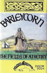 The Fields of Athenry