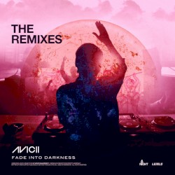 Fade into Darkness (The Remixes)