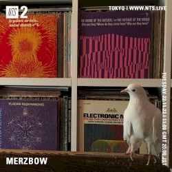 2022-11-22: NTS Radio