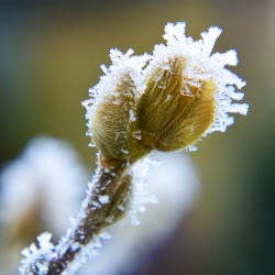 Мифический образ (Медитация)