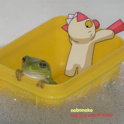 Cat in a Sea of Soap